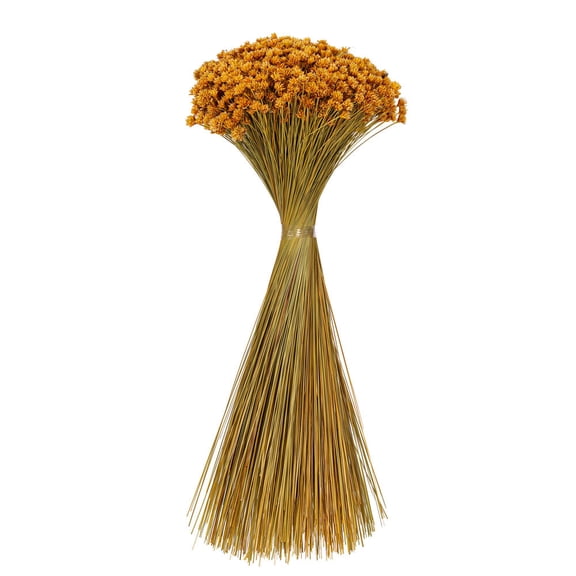 20" Dried Natural Hil Flower Bunch 16 oz