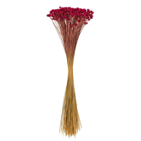 20" Dried Rspbrry Hil Flower Bunch 16 oz