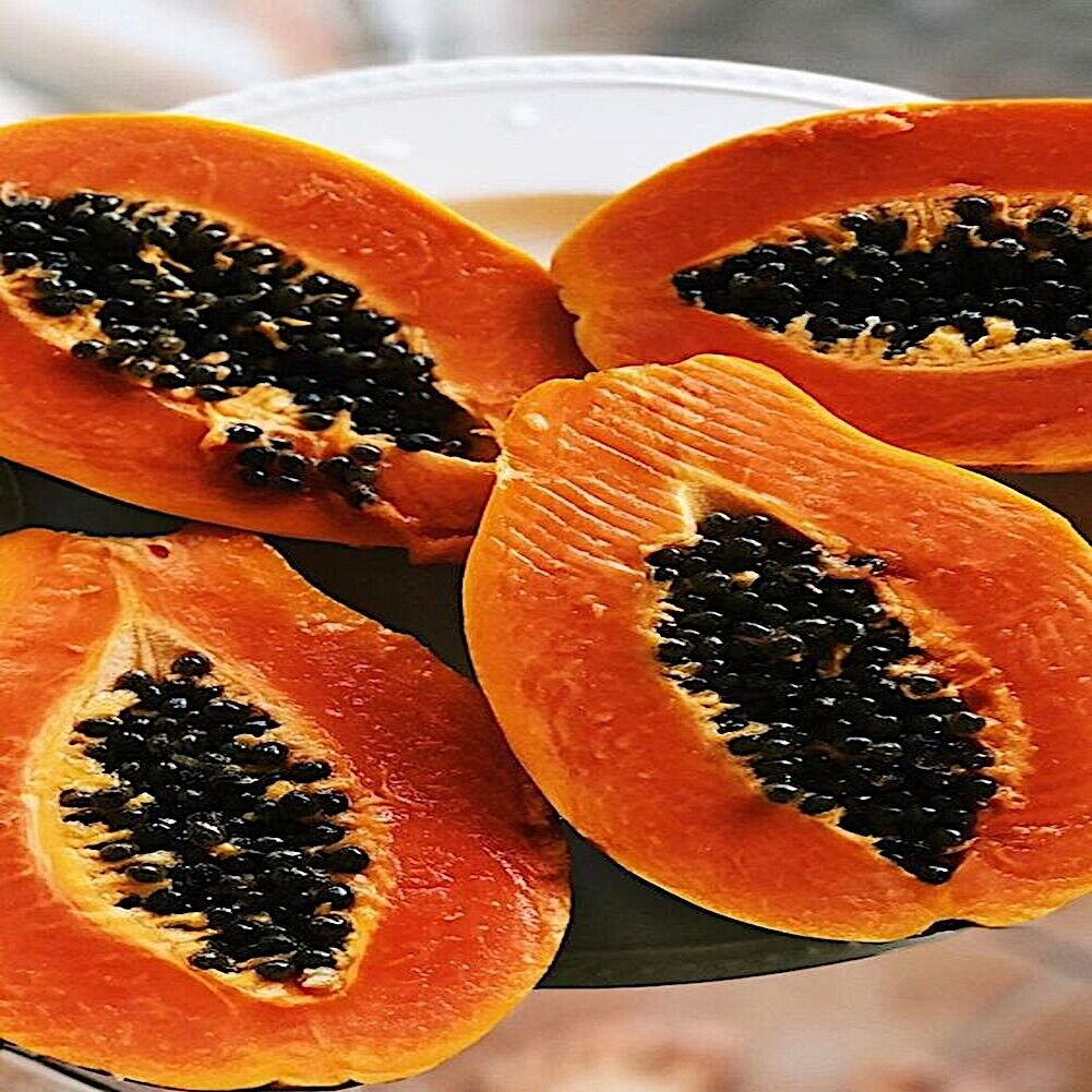 20 Dwarf Hawaiian Solo Sunrise Strawberry Papaya Tree Seeds Carica