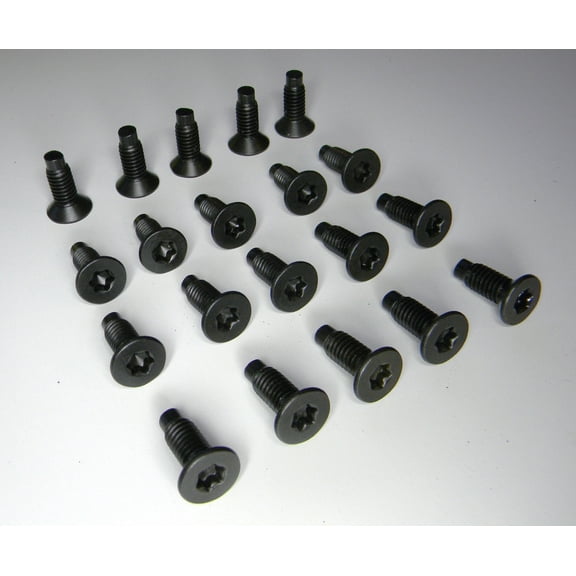 20 Ea 1976-2006 JEEP CJ / YJ / TJ Wrangler Windshield Hinge Torx Bolts