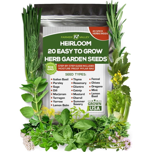 20 Easy to Grow Spice and MVR1Herb Seeds for Home Gardening - Kitchen & Culinary Herb Plant Seeds for Indoor, Outdoor, and Hydroponic Growing, Including Basil, Parsley, Rosemary, Mint & More