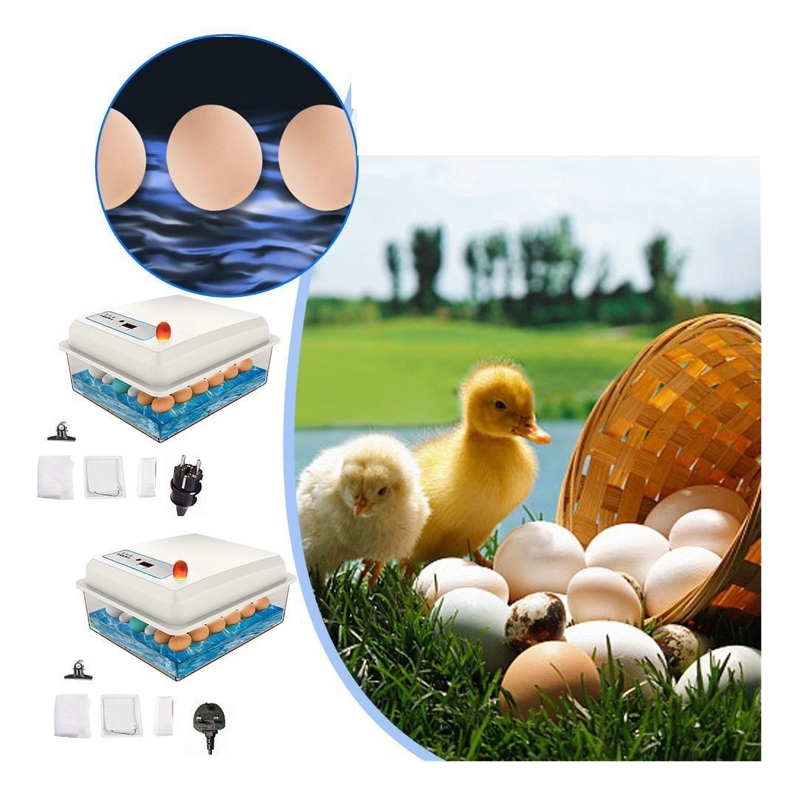 20 Eggs Incubator Brooder Bird Quail Chick Hatchery Automatic Egg ...