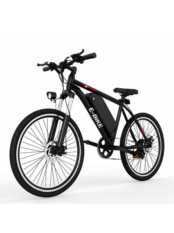 20" Electric Bike for Adults, 250W Motor, 19MPH Max Speed, 48V 5.2Ah Removable Battery, LCD Display, Compact E-Bike UL2849
