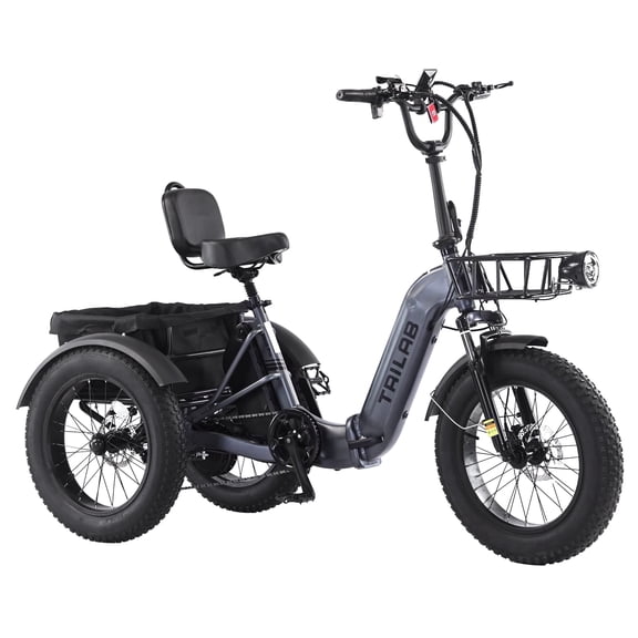 20" Electric Cargo Tricycle for Adults Seniors, UL Certified 500W Motor 48V 15.6Ah Removable Battery, 20×4.0 Fat Tire 3 Wheel Electric Bike, 7 Speed