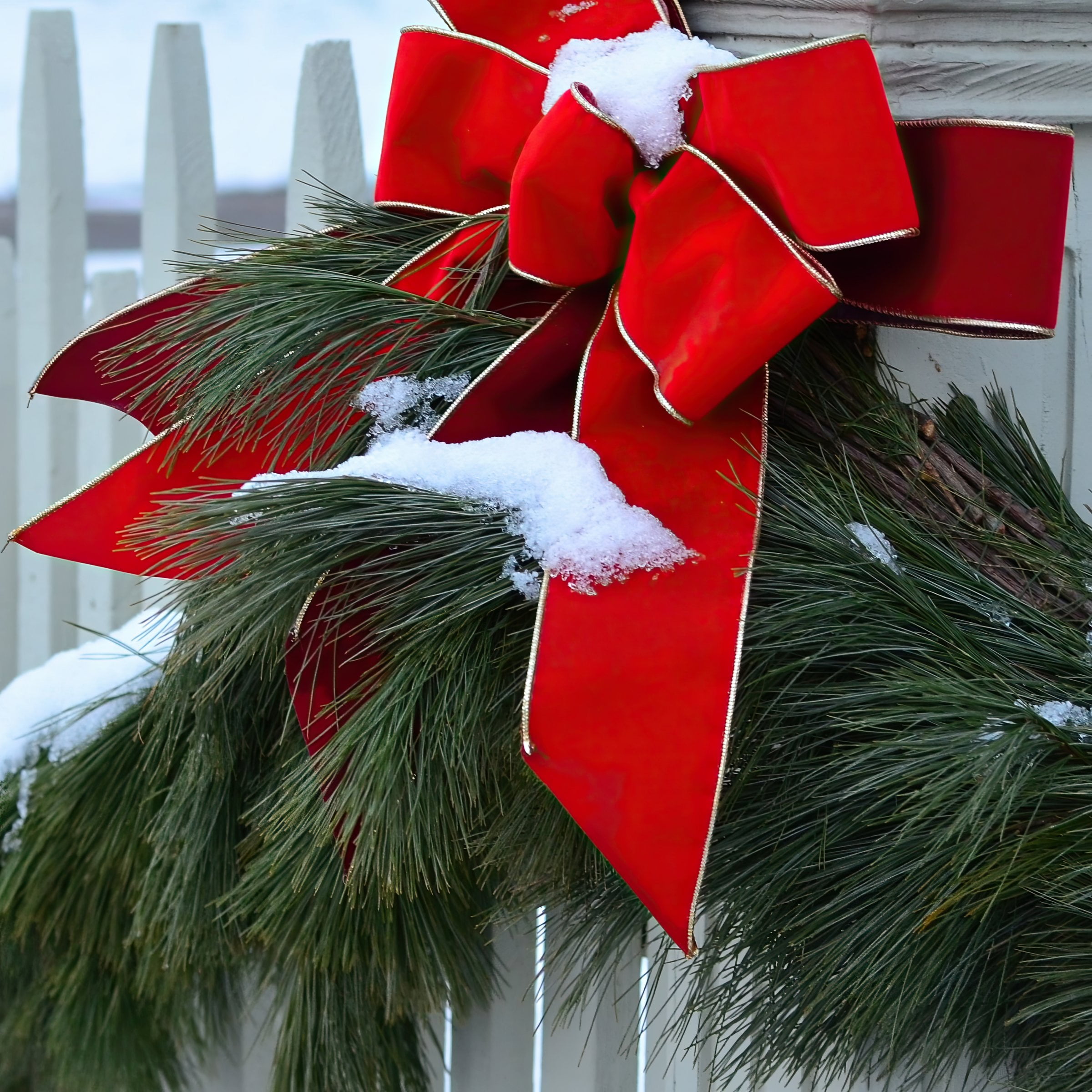 National Plant Network 20' Fresh White Pine Christmas Garland Decoration