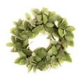 thumbnail image 1 of 20" Frosted Green Bay Leaf Wreath Faux, 1 of 4