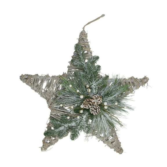 20" Frosted Mixed Pine Twig Star Christmas Ornament