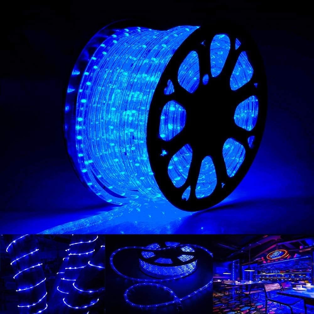 20 Ft Rope Lights with Remote LED Landscape Lighting for Halloween ...