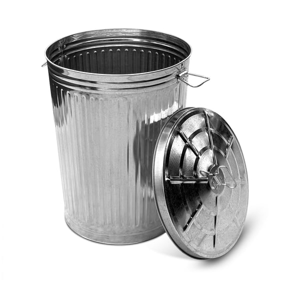 Plexon Metal Trash Can with Lid Outdoor 20 Gallon Galvanized Steel Garbage Bucket with Lid Silver