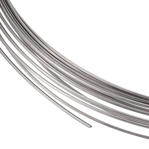 20 Gauge 316 Stainless Steel Wire Metal Process Line About 32.81 Feet Bendable Stainless Steel Wire Image Line Metal Wire for Handicraft and Jewelry Production Stainless Steel ColorDIY