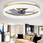 Depuley 20" Gold Flush Mount Ceiling Fan with Light - Low Profile, App & Remote Control, 6-Speed Quiet DC Motor, Dimmable LED for Bedroom