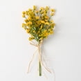 thumbnail image 1 of 20"H Sullivans Yellow Wildflower Bush, Yellow, 1 of 3