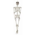 thumbnail image 1 of Sunstar Skeleton 20inches, 1 of 3