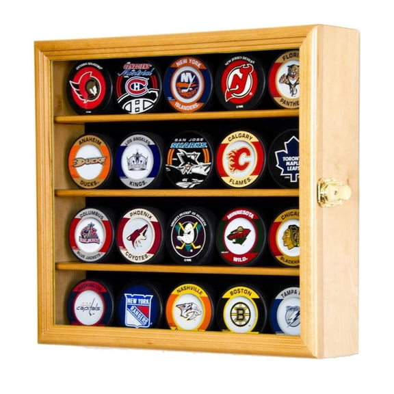 20 Hockey Puck Display Case Cabinet
