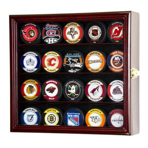 20 Hockey Puck Display Case Cabinet