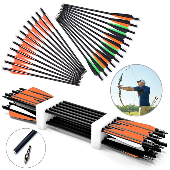 20 Inch Carbon Crossbow Bolts Hunting Archery Arrows with 4" Vanes Replaced Arrowhead Tips, 12 Pack