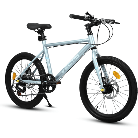 20 Inch Kids Bike for Boys Girls, 7-Speed Children Road Bike with Steel Frame and Dual Disc Brakes, Kids Road Bicycle for Ages 6-12 Years Old Birthday Gift, Silver
