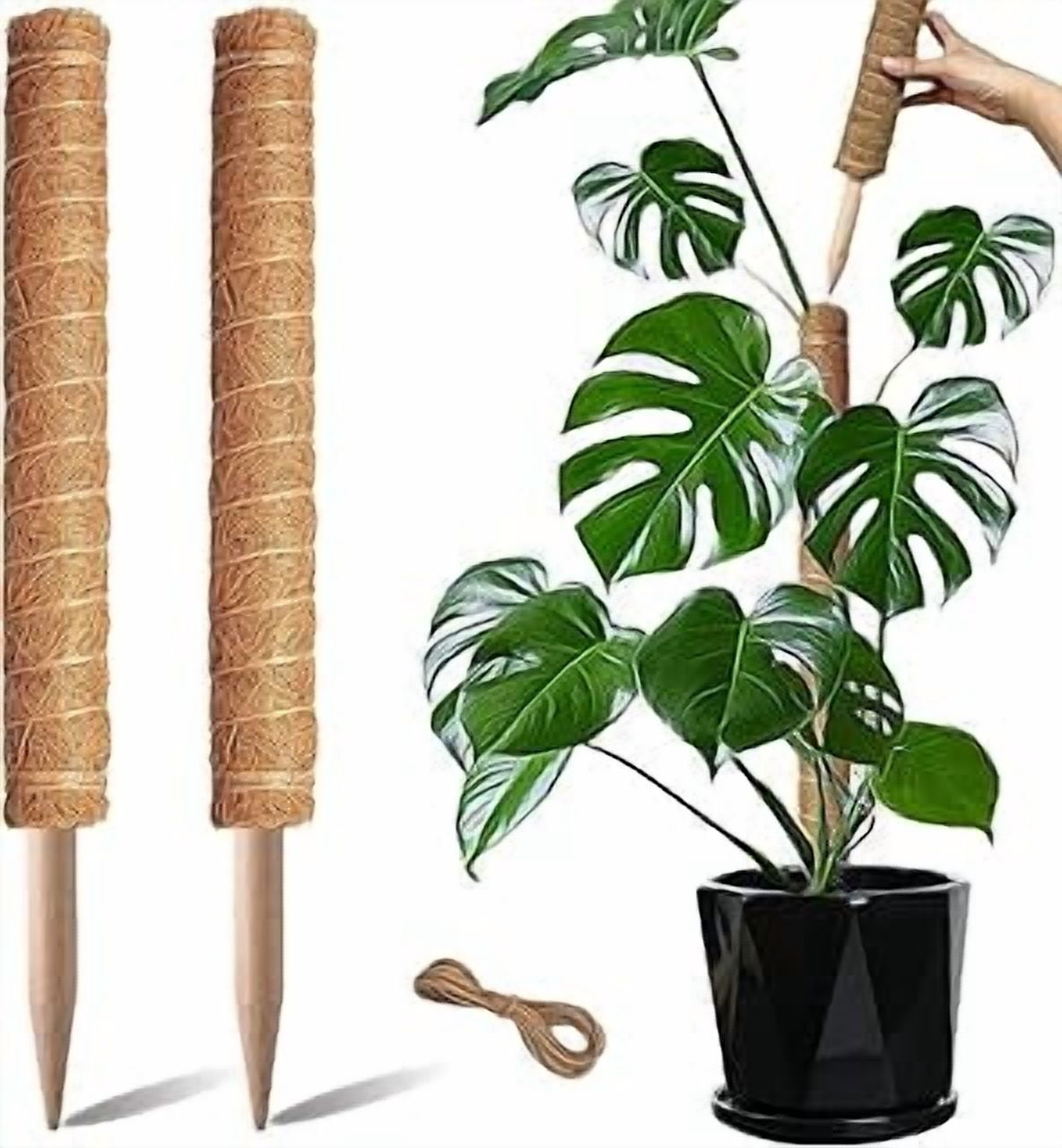 20 Inch Moss Pole, Stackable Moss Poles for Climbing Plants Monstera, Tall Plant Sticks Accessories, Large Coir Plant Support Stakes for Potted Plants Indoor, Pothos, Philodendron, 1-Pack