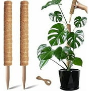 【新品未使用】MOSS STICK SW50 24-25 新品未使用】MOSS STICK SW50 24-25 Amazon.com : 3 Pack Moss Pole