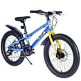 20Inch Mountain Bike for Ages 5+, Shimano 7Speed & DualDisc Brakes