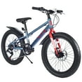 20Inch Mountain Bike for Ages 5+, Shimano 7Speed & DualDisc Brakes