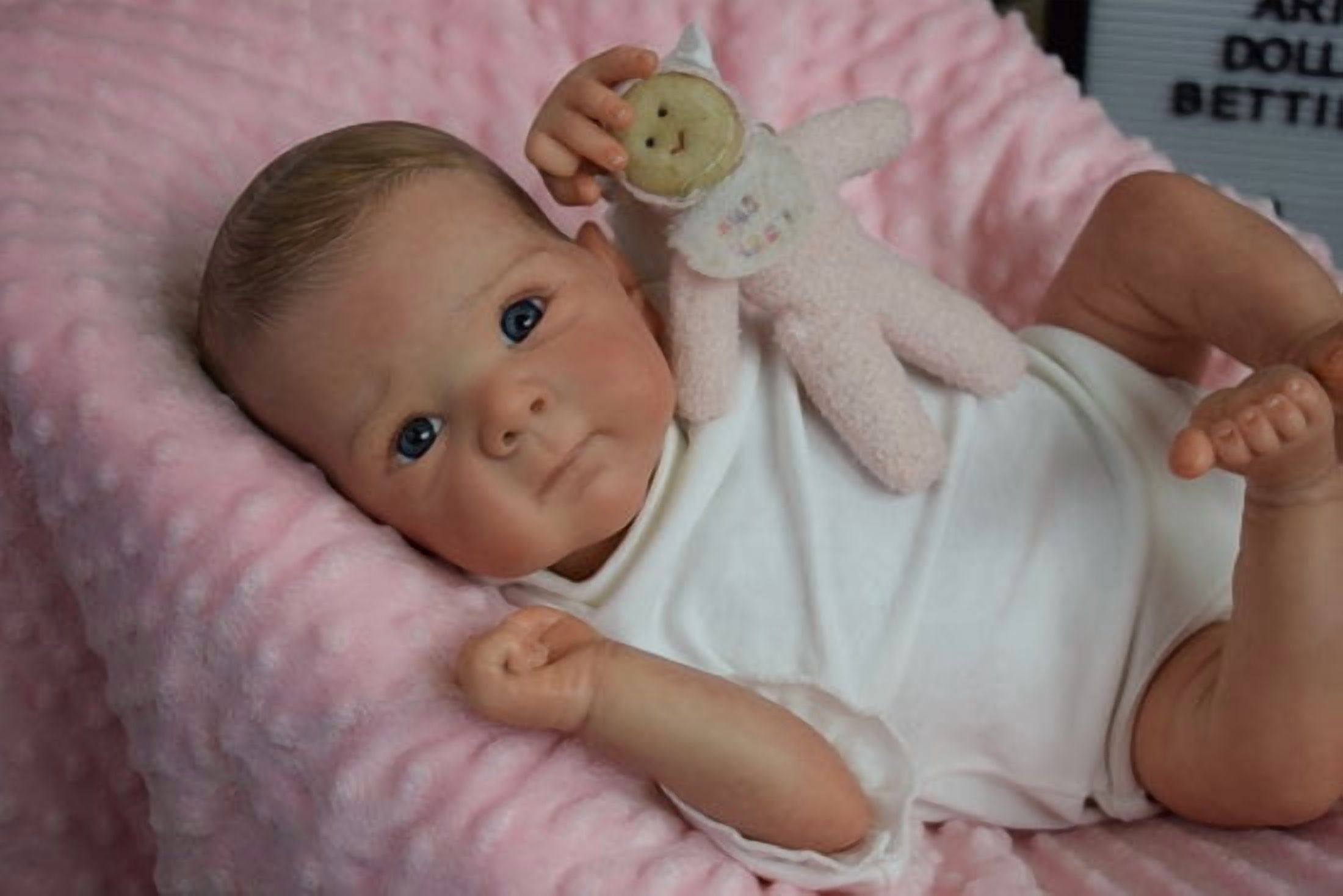 20 Inch Reborn Baby Doll Girl Full Body Vinyl Lifelike Realistic Doll Hand Painted Hair Soft Touch Waterproof Bath Doll Gift for Kids Age 3+