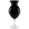 thumbnail image 1 of 20" Jet Black and Transparent Glass Flower Vase, 1 of 3