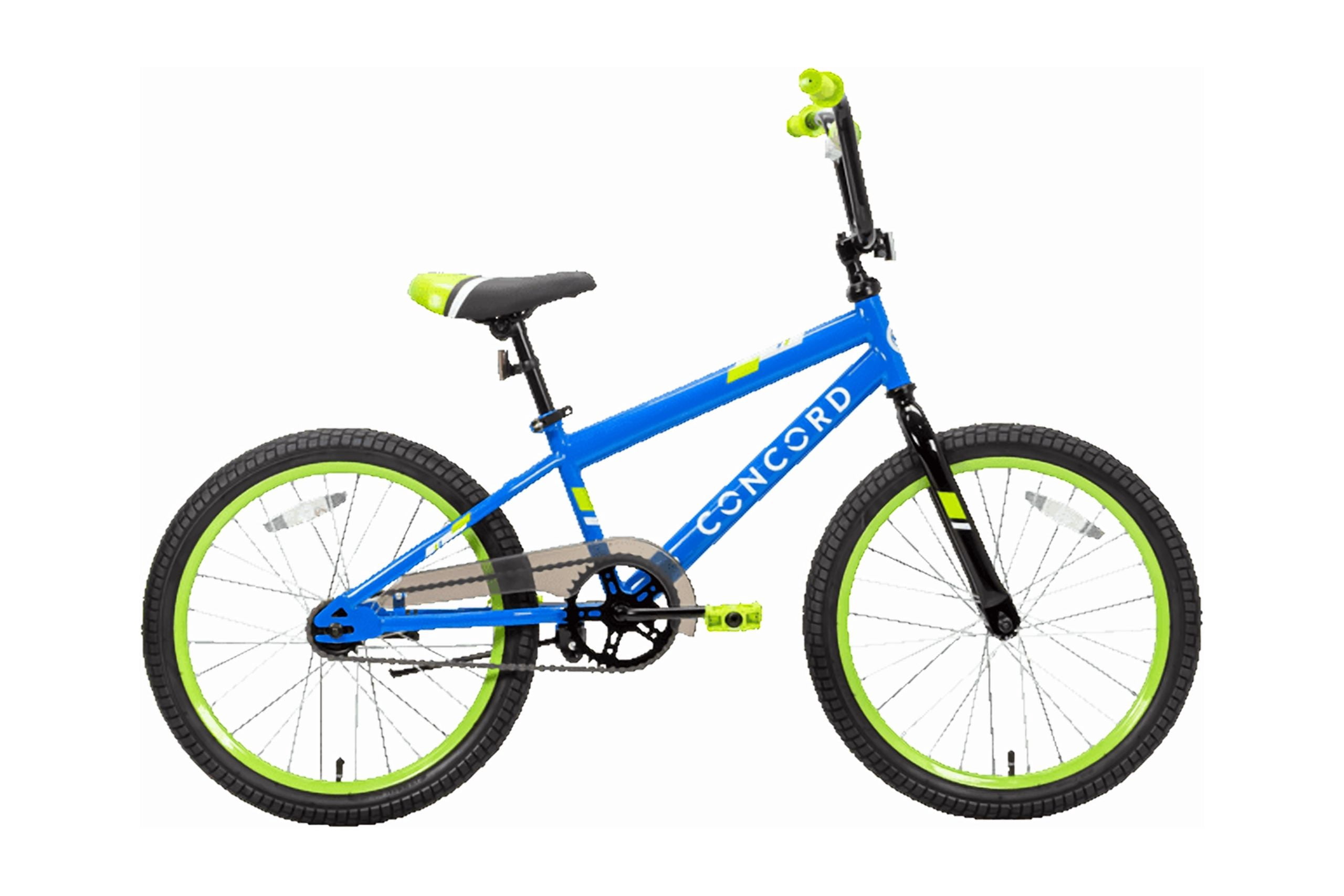 20 KIDS BIKE B/G