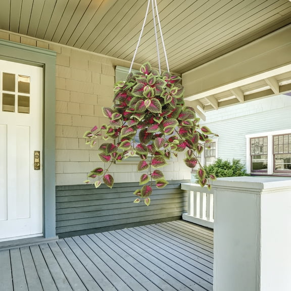 20" Mini Coleus Artificial Hanging Bush