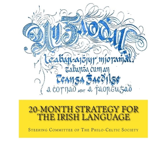 20-Month Strategy for the Irish Language, (Paperback)