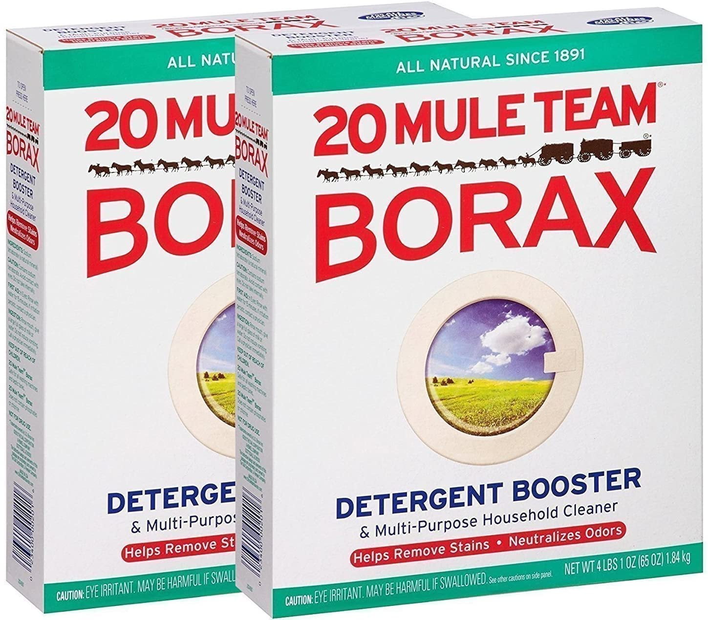 MILLIARD Borax Powder - Pure Multi-Purpose Cleaner 1 lb. Bag 1 Pound