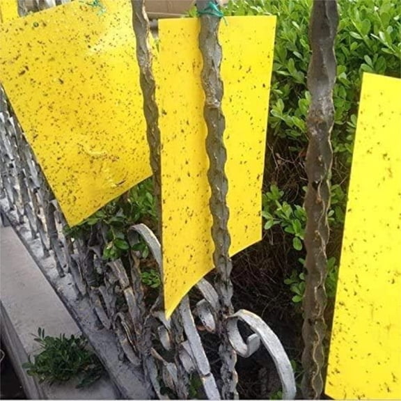 20-PCS Dual-Sided Yellow Sticky Traps for Flying Plant Insect Such as Fungus Gnats, Whiteflies, Aphids, Leafminers,Thrips