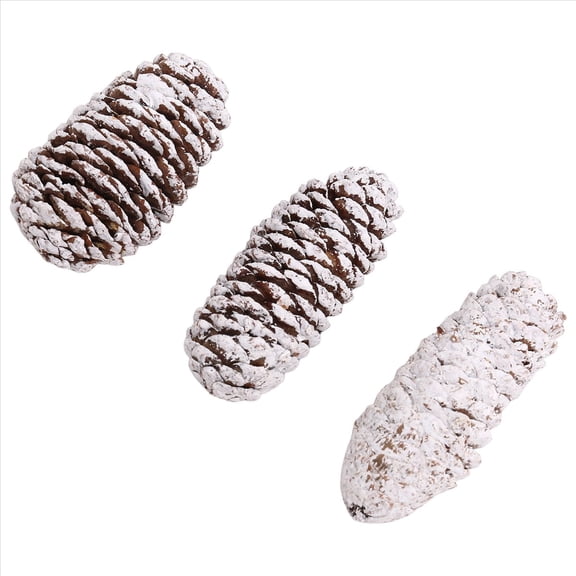 20 PCS Pine Cones Decorations, Natural Snow Large Christmas Cone Ornaments