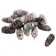 thumbnail image 1 of 20 PCS Pine Cones Decorations, Natural Snow Large Christmas Cone Ornaments, 1 of 4