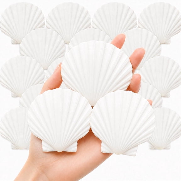 20 PCS Scallop Shells 2.7-3.1 inch Natural White Seashells for DIY Painting, Craft, Baking, Beach Wedding & Home Decor(20PCS 2.7"-3.1")