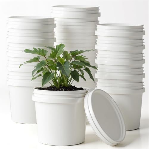 20 Pack 1/4 Gallon Plastic Bucket with Lid, 1 Quart Paint Cans with Lid Paint Containers White Plastic Painting Water Pail for Storage Container Home Household Cleaning$$Tools & Hardware Other