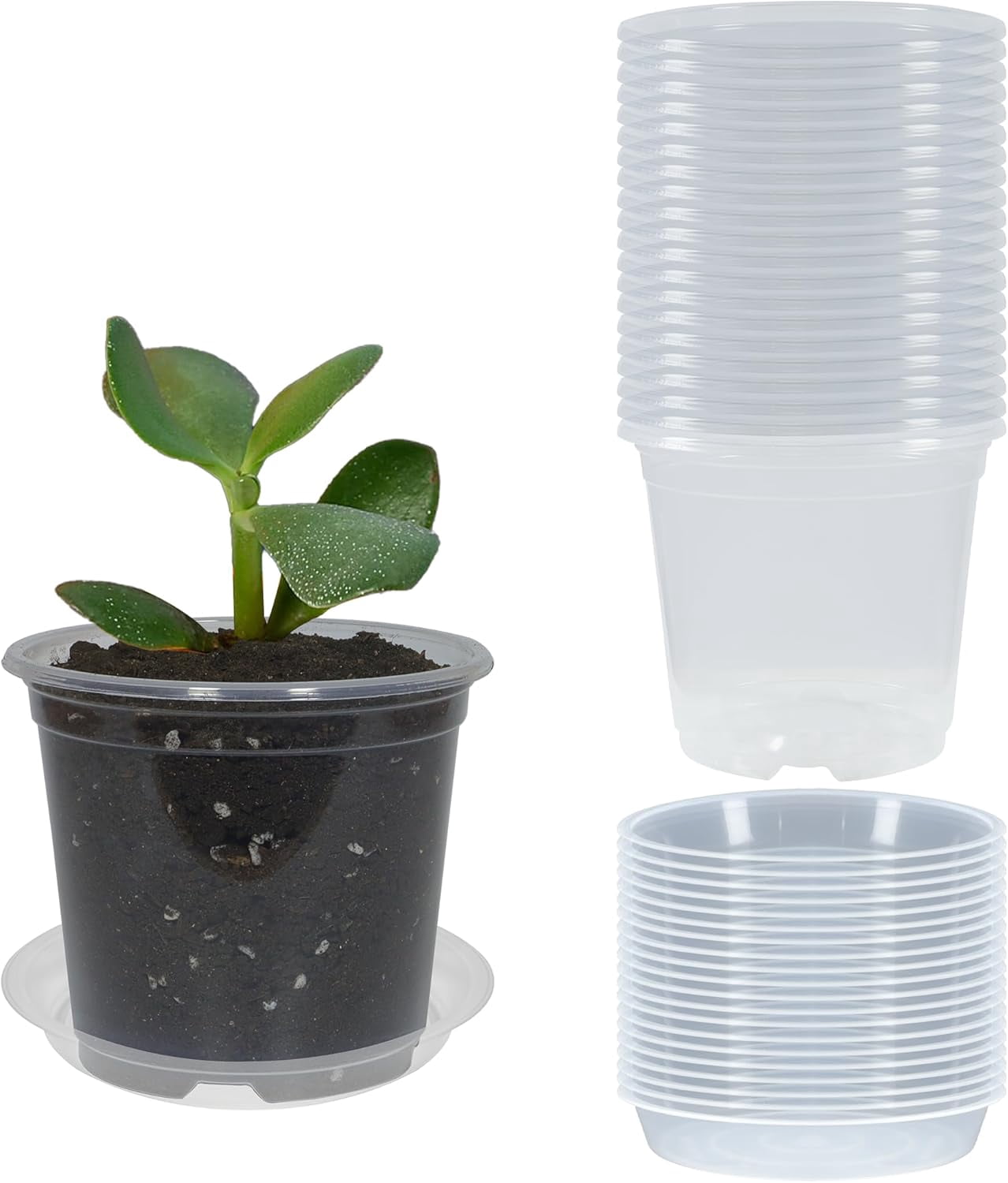 20 Pack 3 Inch Clear Nursery Pots with Drainage and 20 Pack Plant ...
