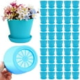 thumbnail image 1 of 20 Pack 4 Inch Plant Pots Bulk Small Plastic Planters Pots with Drainage Holes Flower Pot for Succulent, Cactus, Herb, African Violet (50pcs-Multicolor, 4Inches), 1 of 5