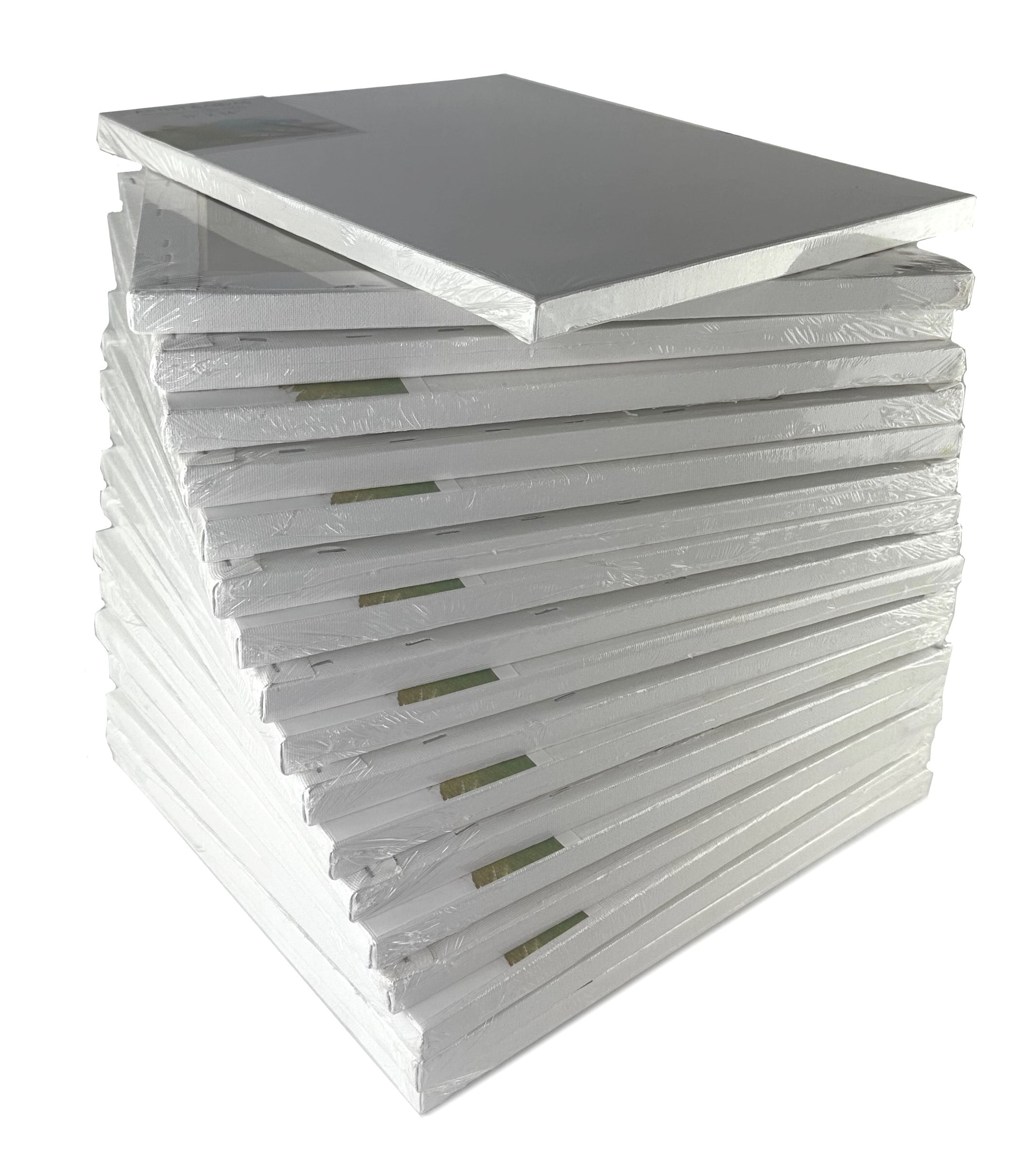 20 Pack Blank Artist Canvases for Painting 11"x14" Cotton with Double Gesso