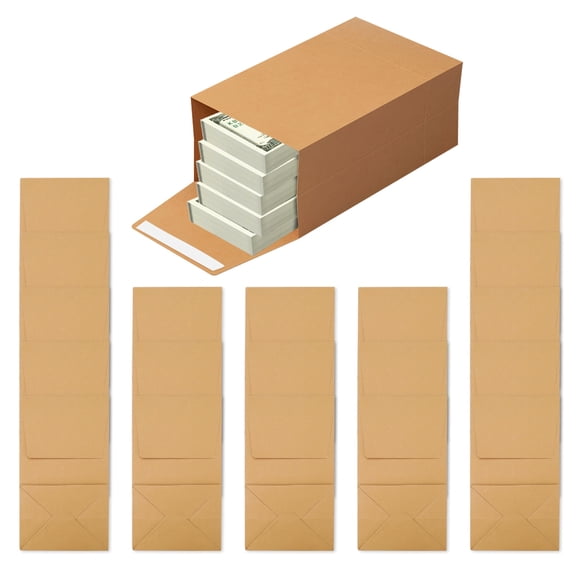 20 Pack Brown Cash Envelopes with Self Seal Flaps, 8.2" x 4.7" Thick Budget Coin Envelopes, Paper Money Pouch Packets for Tips Checks Seeds Tickets Receipts Trinkets Gifts (Extra Large)