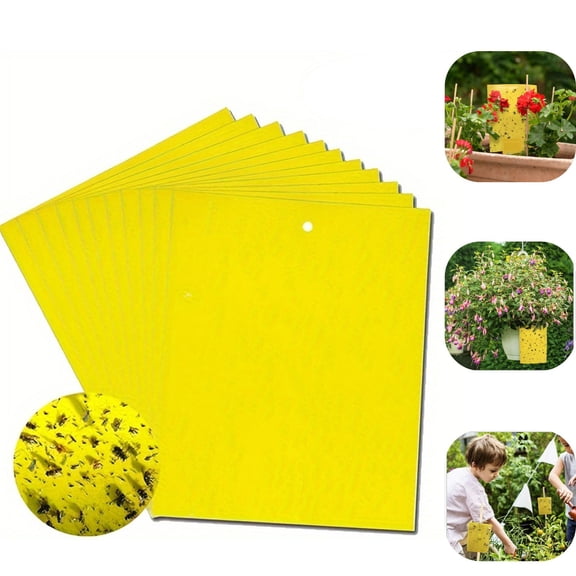 20-Pack Dual-Sided Yellow Sticky Traps, 6x4 Inch Fruit Fly & Gnat Killer for Indoor/Outdoor Flying Plant Insects