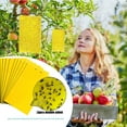 thumbnail image 1 of 20-Pack Dual-Sided Yellow Sticky Traps for Flying Plant Insect Such as Fungus Gnats, Whiteflies, Aphids, Leafminers,Thrips - (6x8 Inches, Included 20pcs Packing Ropes), 1 of 8