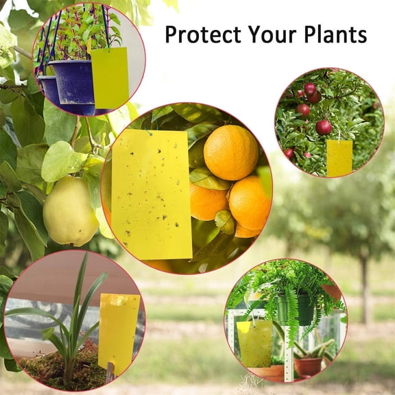 20-Pack Dual-Sided Yellow Sticky Traps for Flying Plant Insect Such as Fungus Gnats, Whiteflies, Aphids, Leafminers,Thrips