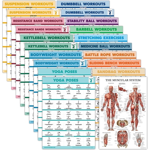 20 Pack - Exercise Poster Set: Dumbbell, Suspension, Battle Rope, Stretching, Bodyweight, Barbell, Yoga, Exercise Ball - (LAMINATED, 18 x 24)