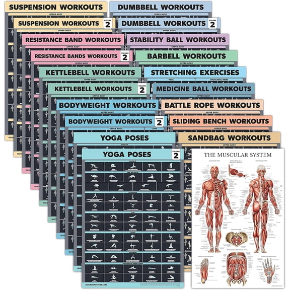 20 Pack - Exercise Poster Set: Dumbbell, Suspension, Battle Rope, Stretching, Bodyweight, Barbell, Yoga, Exercise Ball, Muscular, Kettlebell, Resistance Bands and More [Dark] (LAMINATED, 18 x 24)