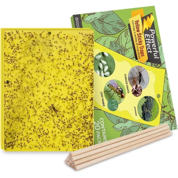 20-Pack Fruit Fly Trap, Yellow Sticky Gnat Traps Killer for Indoor/Outdoor Flying Plant Insect Like Fungus Gnats, Whiteflies, Aphids, Leaf Miners - 6x8 in, Twist Ties Included