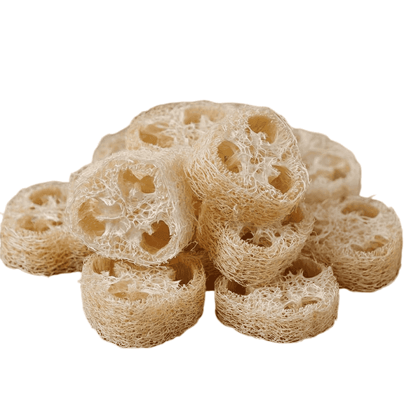 20-Pack Natural Loofah Slices for Soap Making & Shower, Organic Exfoliating Luffa Body Sponge Scrubber Set for Men & Women, Eco-Friendly