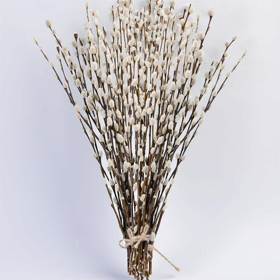 20 Pack Natural Preserved Dried Pussywillow Branches,Snow Pussy Willow,Real Dried Flowers with White Buds,Vase Fillers & Decorative Branches,for Home DIY Floral Wedding Party Decor 16"