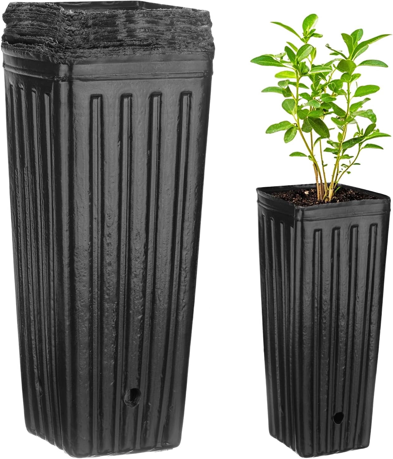 20-Pack Plant Nursery Pots, 4.72x4.72x9.84 Inch Plastic Deep Growing Nursery Pots Succulent Planter Flower Tree pots with Drainage Holes for Indoor Outdoor Gardening [Black]