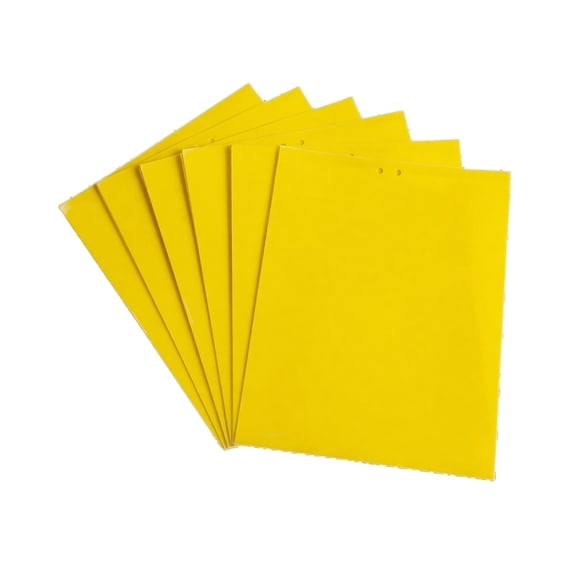 20 Pack Sticky Insect Trap Board Double Sided 20x30cm Adhesive Sheet for Small Flying Insects Pest Control Indoor Outdoor Use